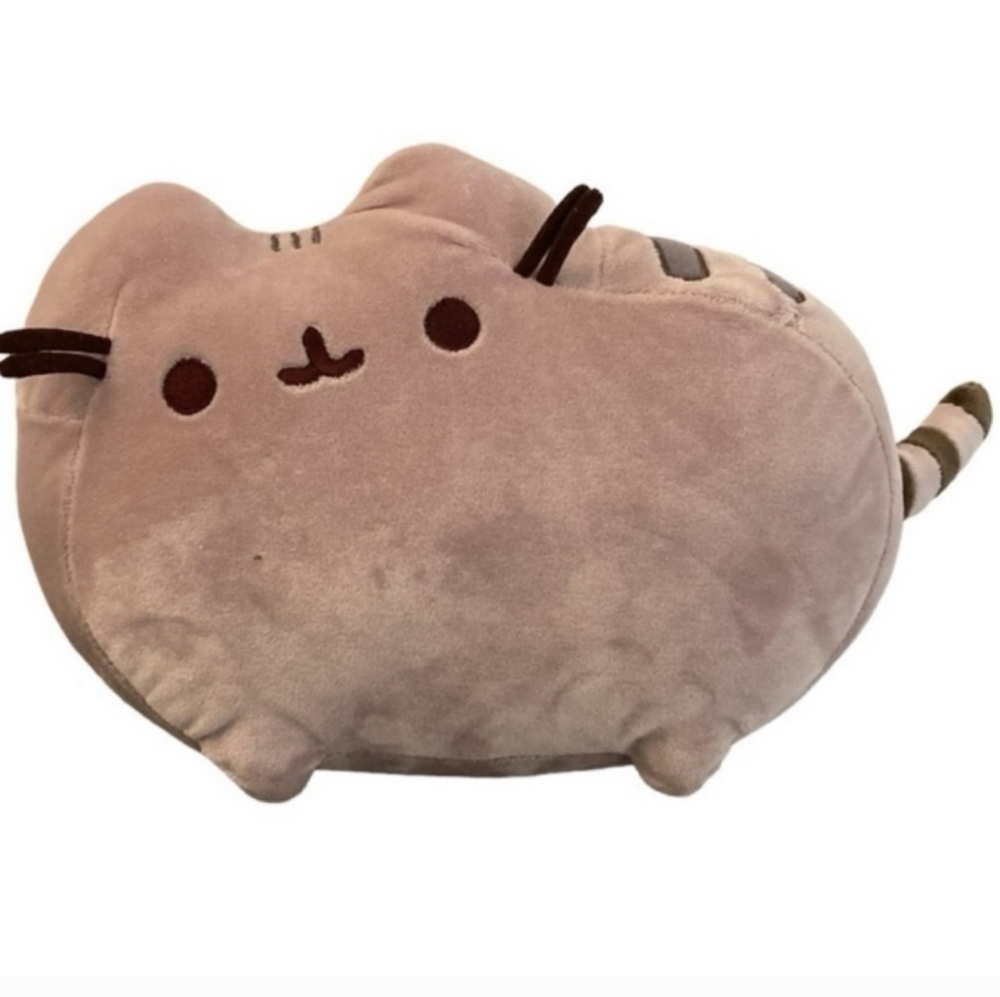 Pusheen Plushie 😺🩶